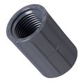 Orbit 12 FNPT PVC Coupling 38413